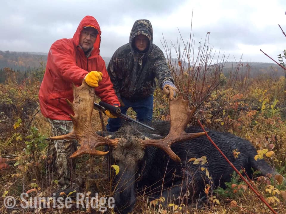 Moose Hunted Down by Two Men