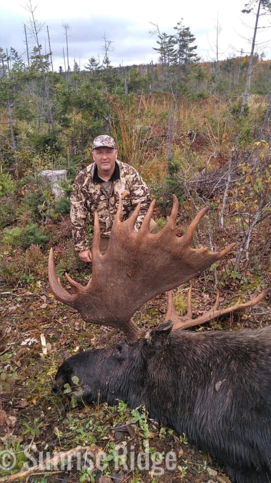 Man with Moose