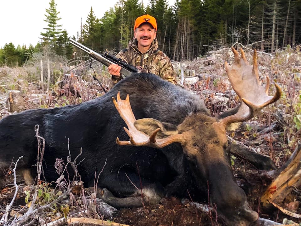 Moose Hunted Down by Man