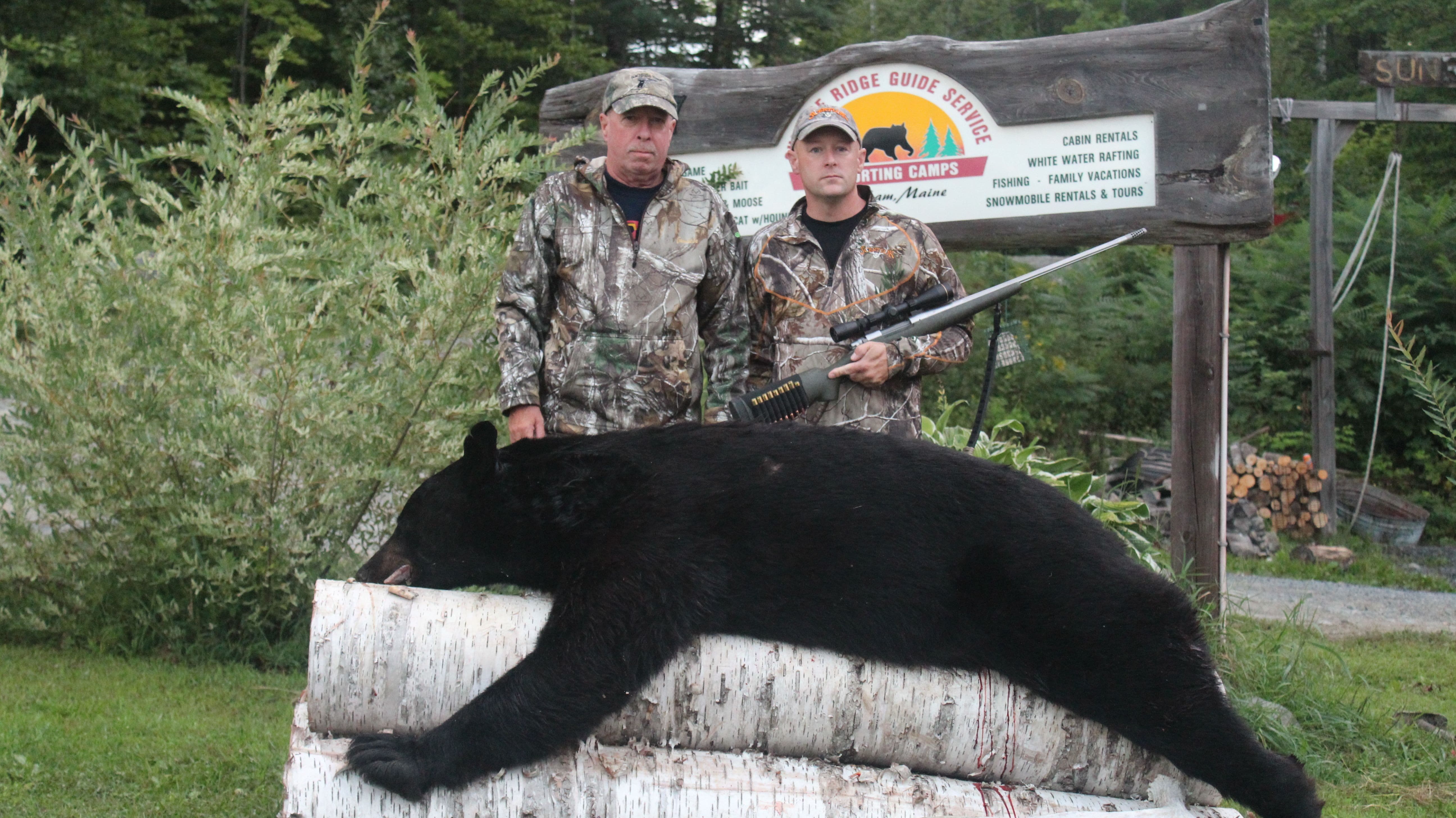 Bear Over Bait 340 lb