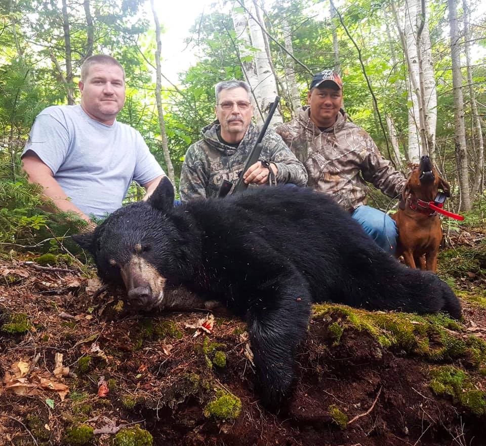 Black Bear Hunted Down